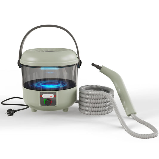 HIEE 2500W Steam Cleaner With 6 Brush Heads For Deep Cleaning