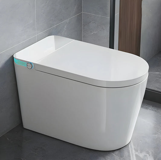 Smart Toilet With Built In Bidet Heated Seat Voice Control