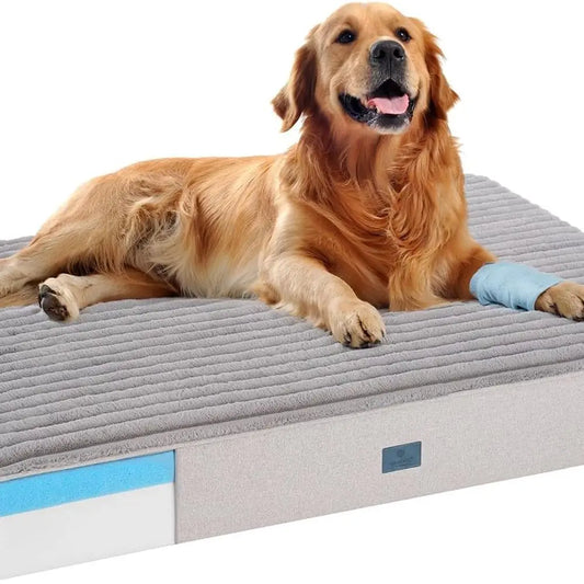 Orthopedic Foam Dog Bed for Seniors with Waterproof Removable Cover