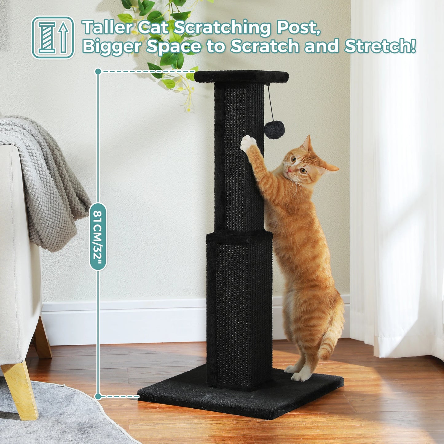 PAWZ Road Large Cat Scratching Post With Sisal Ball