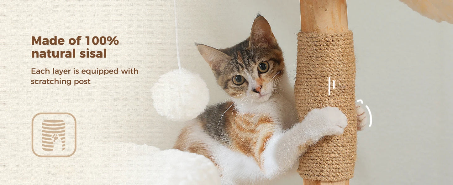 PAWZ Road Modern Solid Wood Cat Tree With Condo