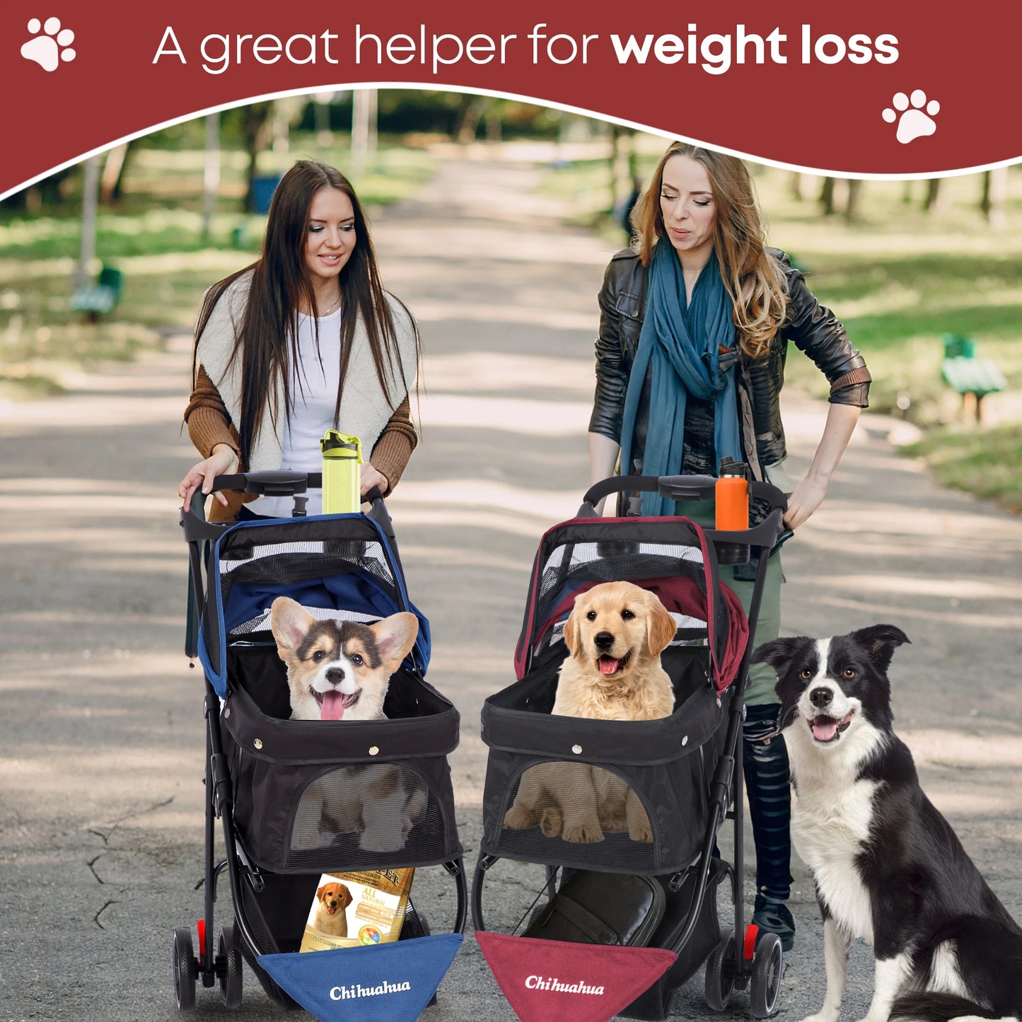 Chihuahua Pet Stroller 3 Wheel Foldable Carrier With Mesh Canopy