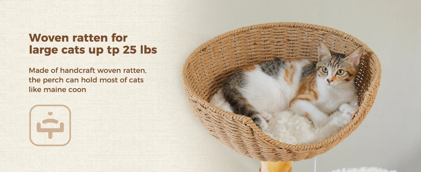 PAWZ Road Modern Solid Wood Cat Tree With Condo