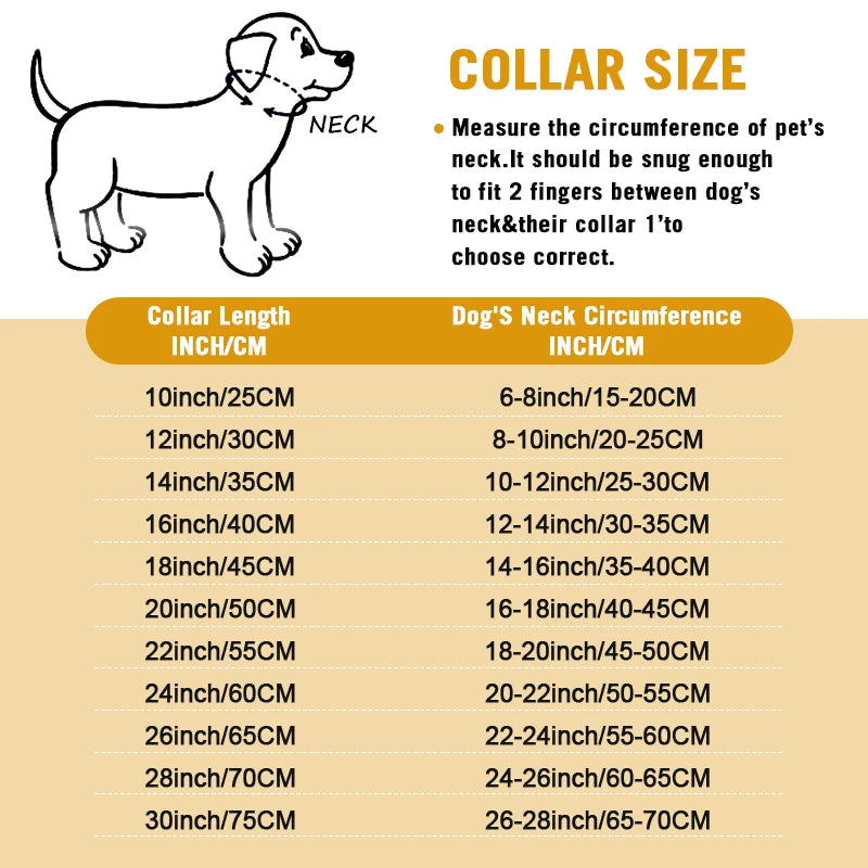 Stainless Steel Chain Dog Collar Cuban Link Training
