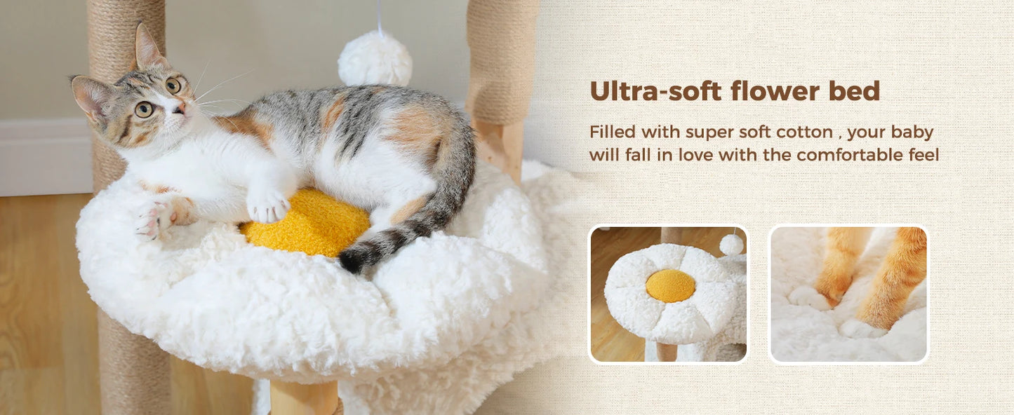 PAWZ Road Modern Solid Wood Cat Tree With Condo