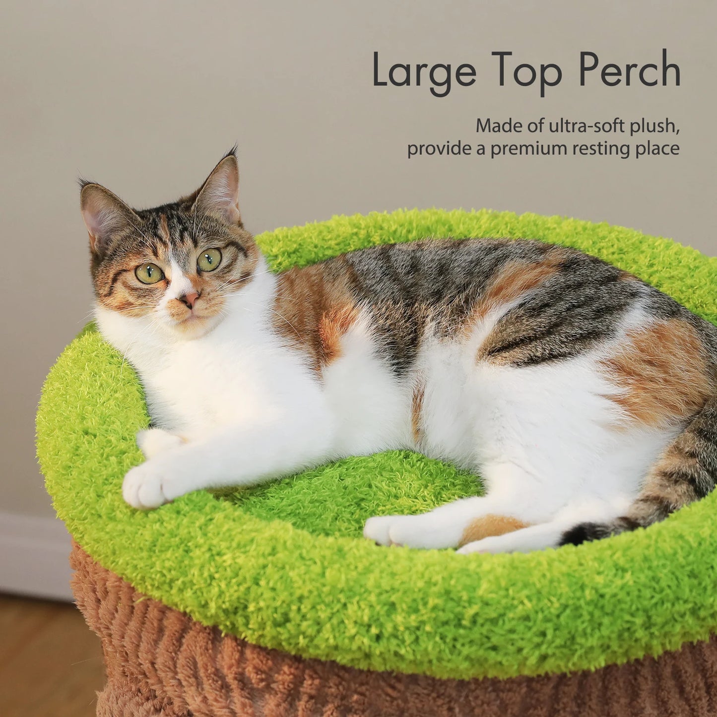 PAWZ Road Wood Cat Tree With Cozy Condos