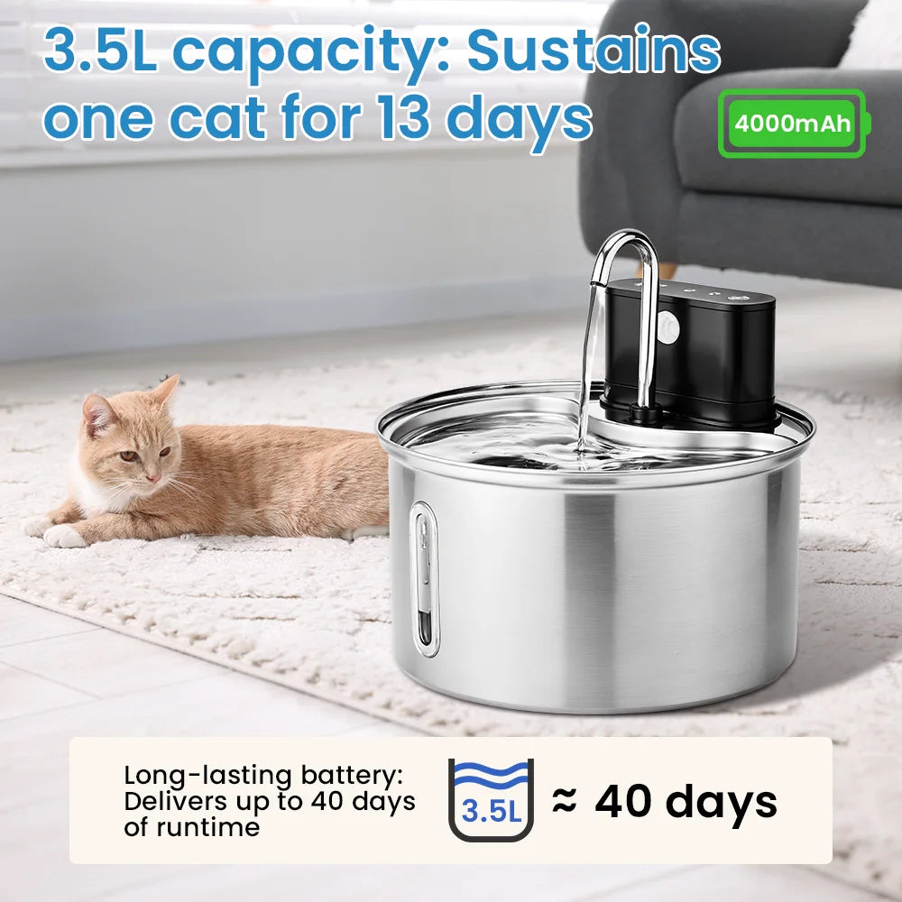 Cityflee Stainless Steel Cat Water Fountain With Smart Dispenser