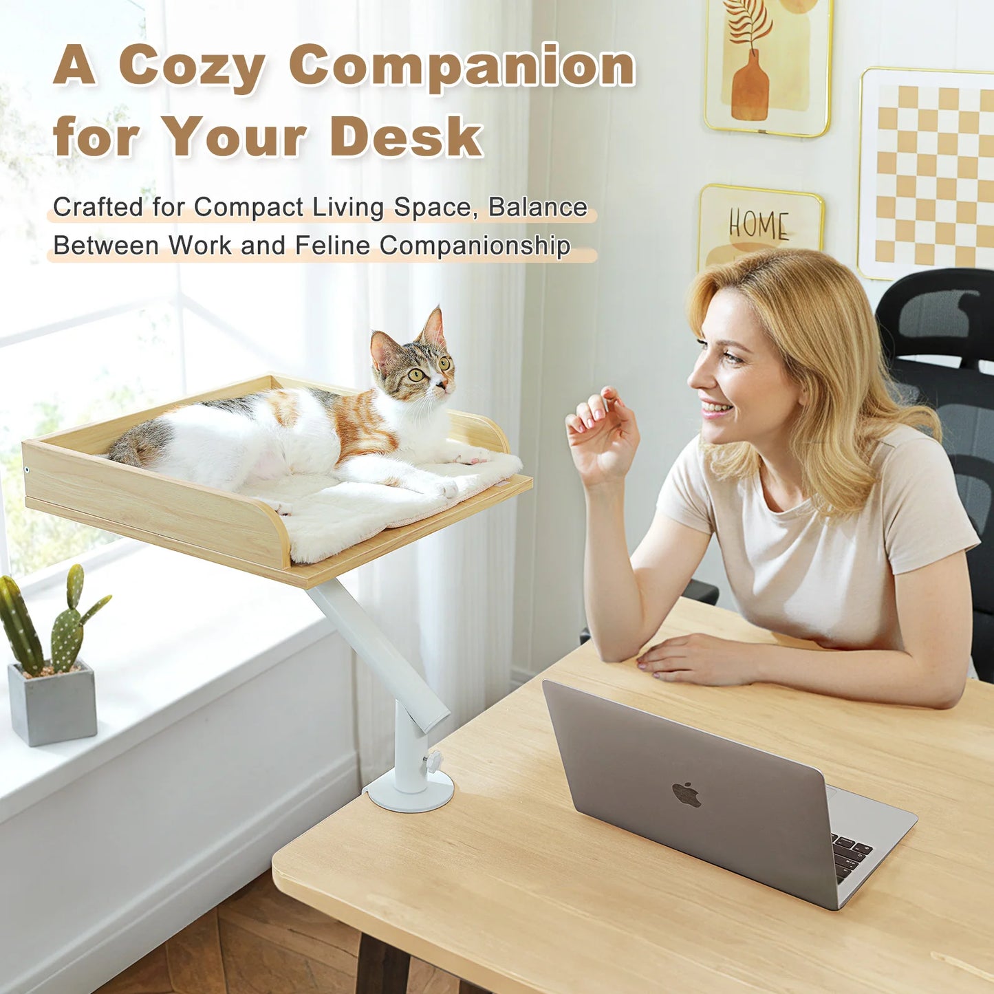 PAWZ Road Cat Desk Bed 360° Rotatable Plush Sofa Stand