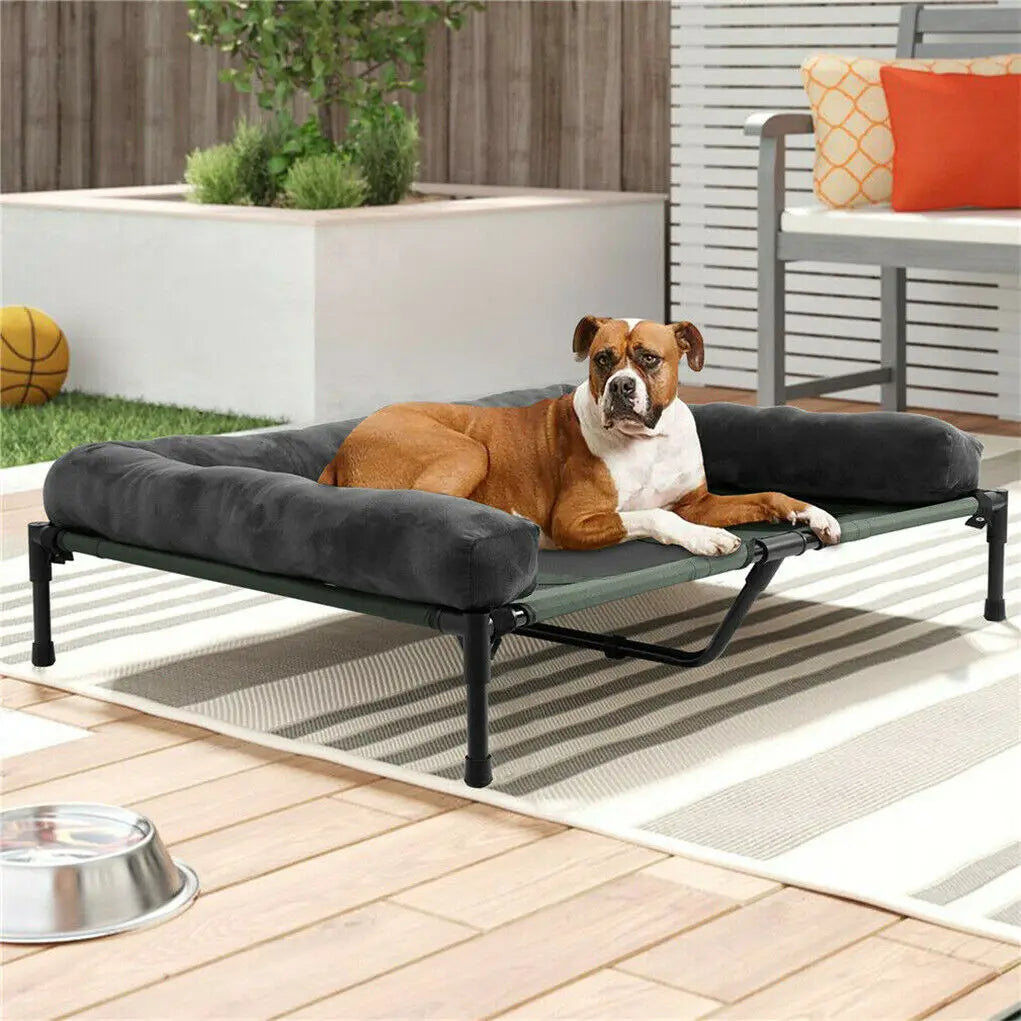 BINGOPAW Elevated Indoor Outdoor Dog Bed Lounger With Detachable Bolster