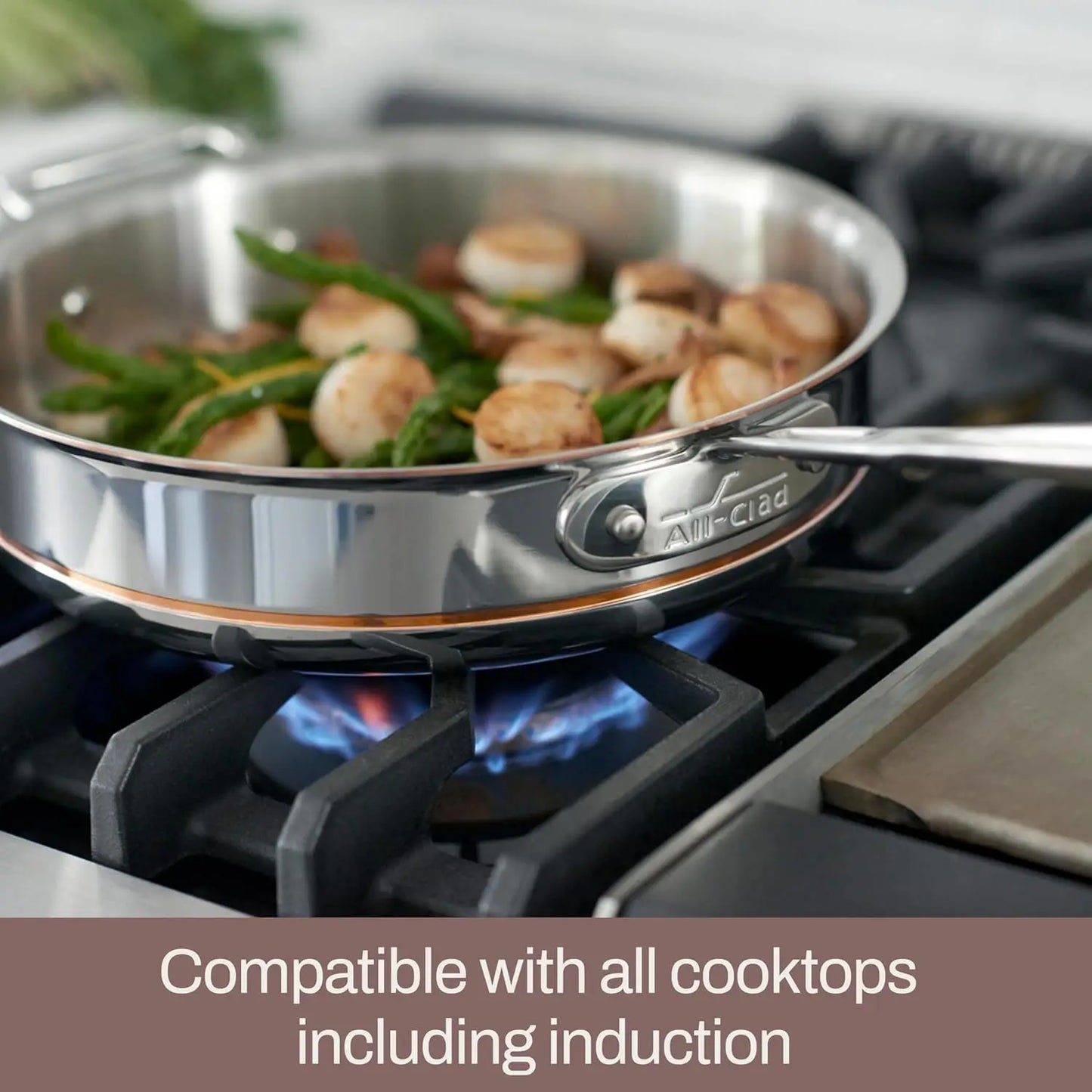 Copper Core Layered Stainless Steel Sauce Pan Induction Safe 600F