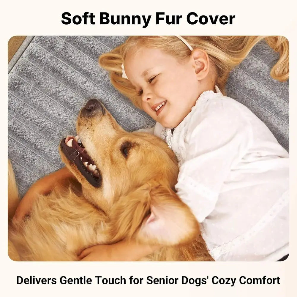 Orthopedic Foam Dog Bed for Seniors with Waterproof Removable Cover