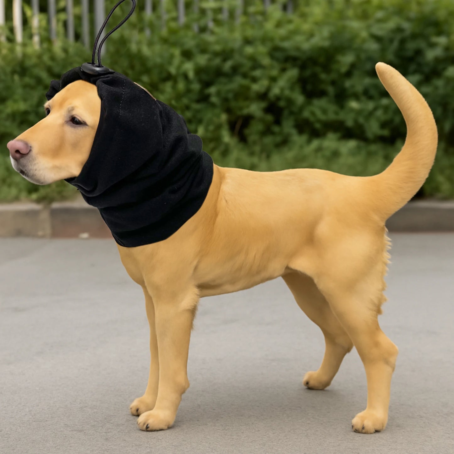 Dog Noise Reduction Scarf Anxiety Relief Keeps Warm Ear Cups
