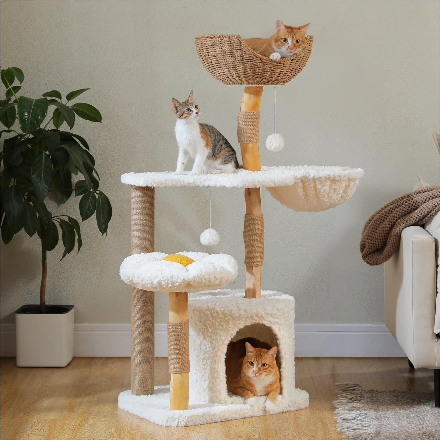 PAWZ Road Modern Solid Wood Cat Tree With Condo