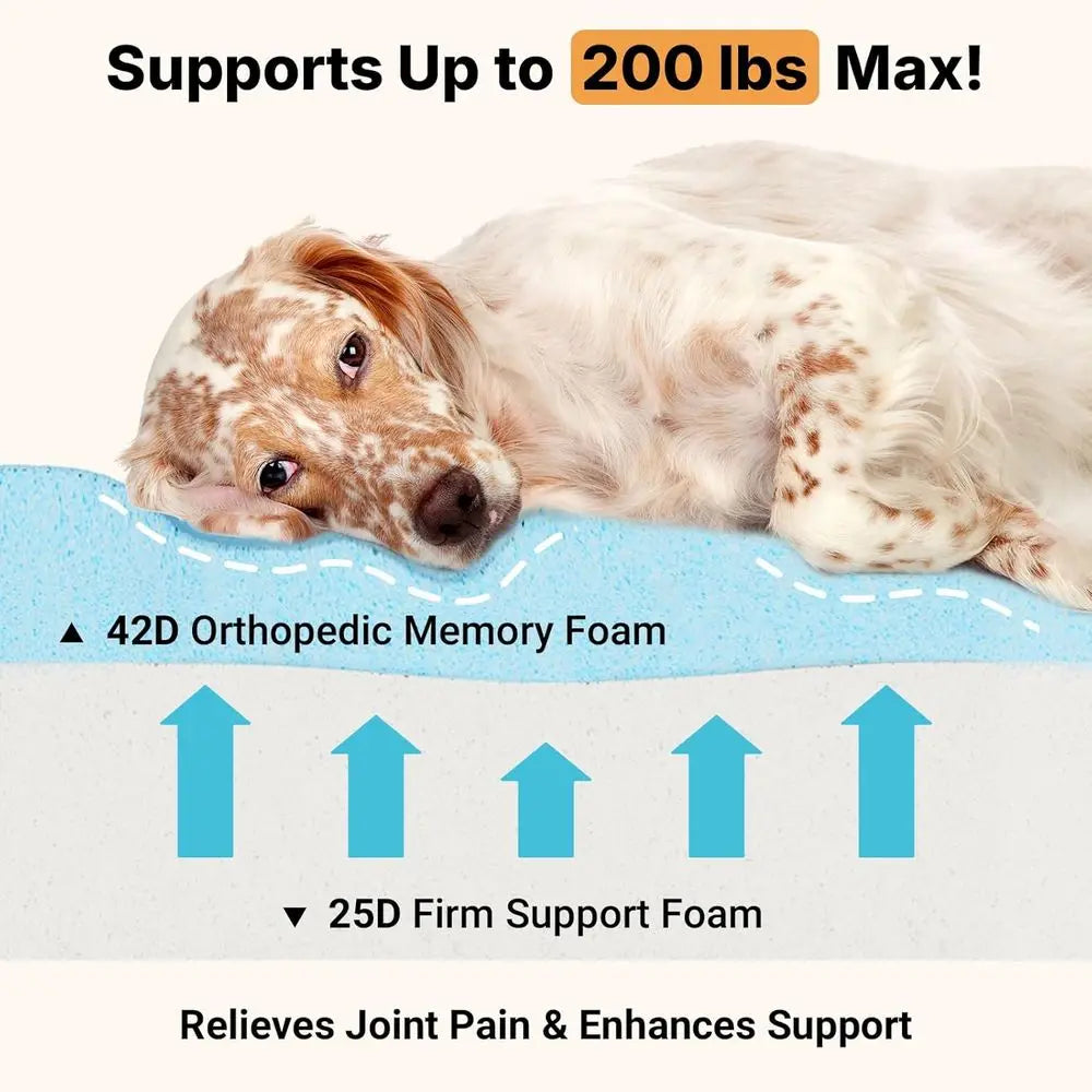Orthopedic Foam Dog Bed for Seniors with Waterproof Removable Cover